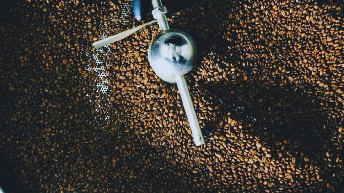 Fresh roasted coffee beans - 5 things you should know