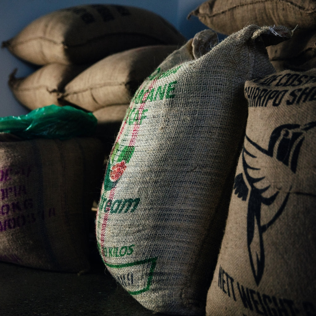 Bancroft Roasters Specialty Coffee Freshly Roasted, High grade